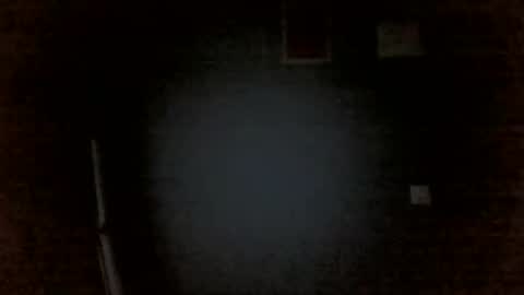 Snapshot of aliprcalica1 chatting on 14, 4, 2026 Chris online show from 14, 4, 2026