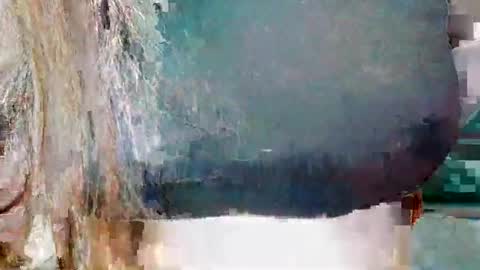 alisesexydoll777 online show from 25, 12, 2024