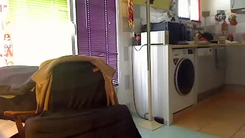 Sandwich online show from 18, 1, 2026