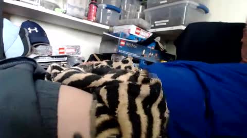 allwolf0323 online show from 13, 3, 2026