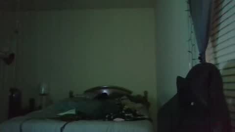 Snapshot of ally12334 chatting on 3, 4, 2026 ally12334 online show from 3, 4, 2026