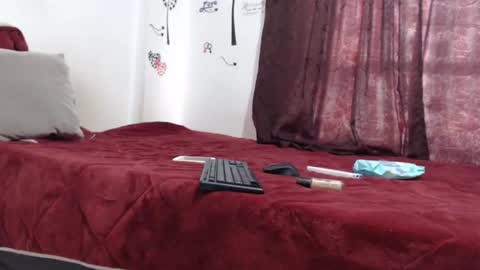 Snapshot of allyka_transsm chatting on 12, 1, 2025 Allyka online show from 12, 1, 2025