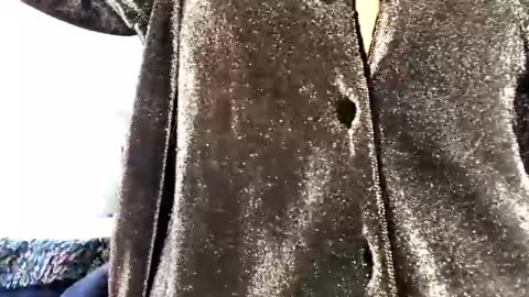 Ally Girl In Her Ally World online show from 7, 2, 2025