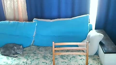 almirsex online show from 28, 6, 2026