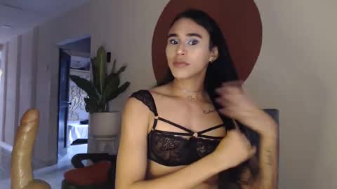 STEPHAN  online show from 16, 12, 2025