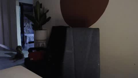 STEPHAN  online show from 17, 12, 2025