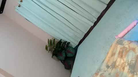 LEXY online show from 2, 2, 2025