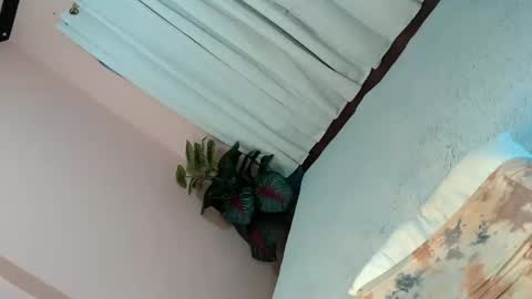 LEXY online show from 4, 2, 2025