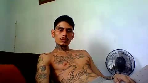 Snapshot of alpha_zom chatting on 24, 4, 2026 Alpha Zom online show from 24, 4, 2026