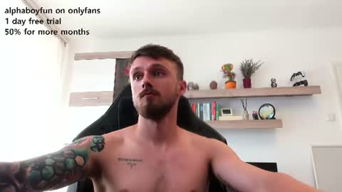 Andi online show from 28, 7, 2026