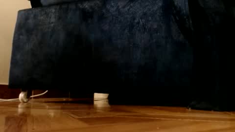 Snapshot of alphaswitchard chatting on 1, 3, 2026 ur god online show from 1, 3, 2026