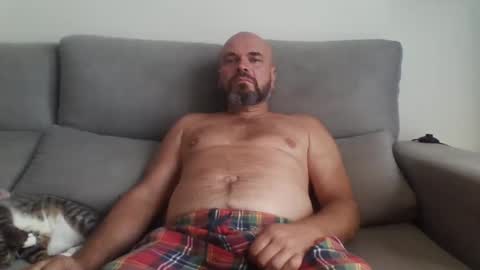 alsi72 online show from 27, 9, 2025