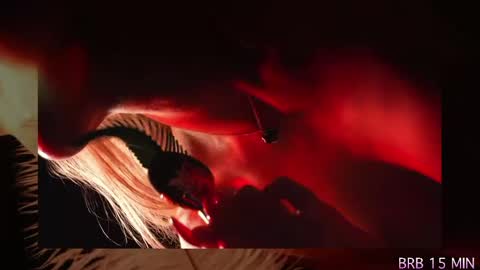 Alvuwka online show from 1, 4, 2026