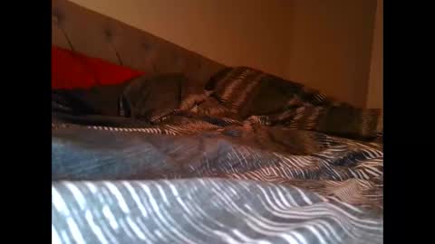 alwaysdownforwhatev online show from 26, 10, 2025