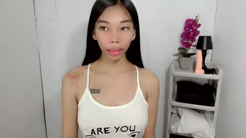 Amarah online show from 2, 11, 2025