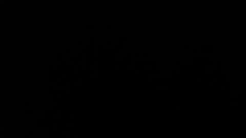 Snapshot of amarantha_ross chatting on 19, 1, 2025 Amarantha online show from 19, 1, 2025