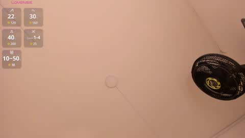  A M A T I S T A   online show from 2, 12, 2024