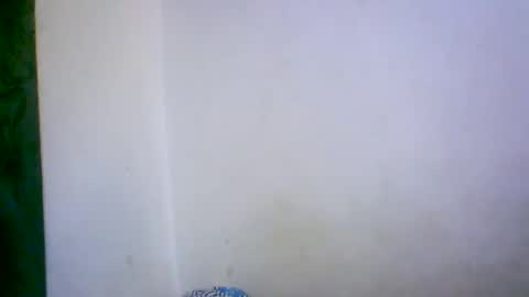 Snapshot of ambar166 chatting on 17, 12, 2025 ambar166 online show from 17, 12, 2025