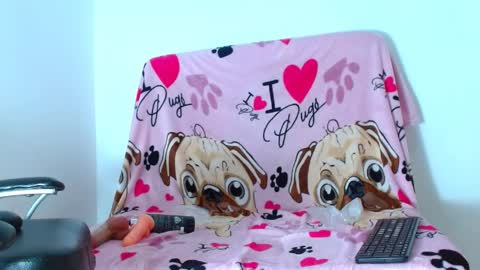 HAMBAR online show from 3, 4, 2026