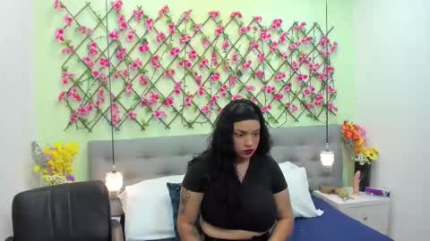 Snapshot of ambar85 chatting on 22, 11, 2025 ambar85 online show from 22, 11, 2025