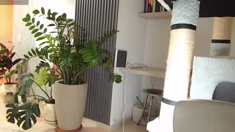 Ambar online show from 22, 1, 2025