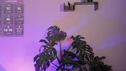 Vivi  online show from 12, 1, 2026