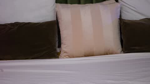 Amelia online show from 2, 12, 2024