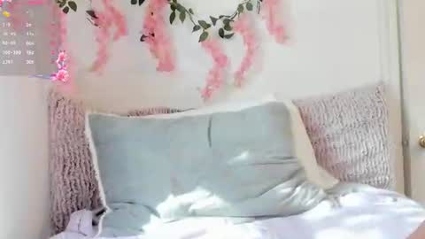 Snapshot of ameliashepard1 chatting on 19, 6, 2026 Amelia online show from 19, 6, 2026