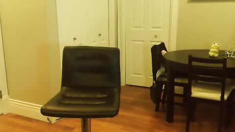 Snapshot of amera_gray chatting on 12, 1, 2025 HOT white naughty leo xxx online show from 12, 1, 2025