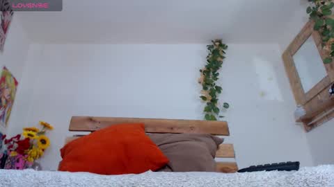 amy mur online show from 7, 12, 2024