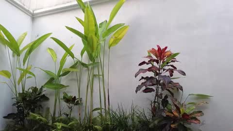 Snapshot of amyalwayshere chatting on 2, 3, 2025 girl next door named Amy online show from 2, 3, 2025