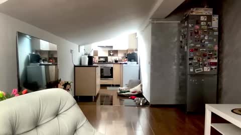 amyroberta92 online show from 25, 2, 2026