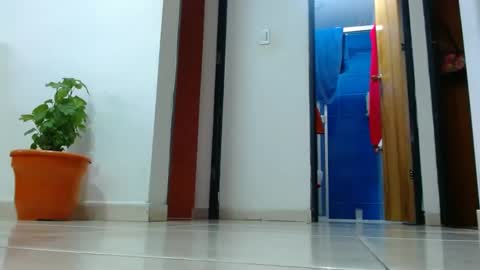 anaids online show from 19, 12, 2024