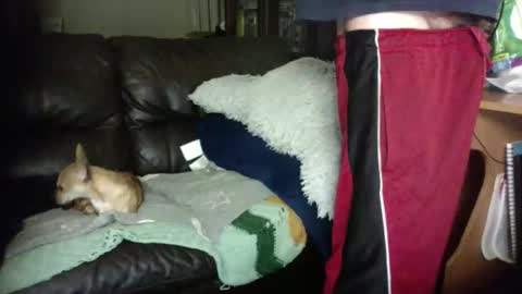 anal_king666 online show from 12, 1, 2026