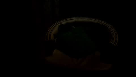 Snapshot of analia18_ chatting on 17, 1, 2025 analia18 online show from 17, 1, 2025