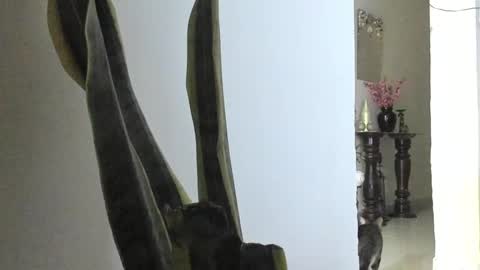 Ana Pakerman online show from 9, 3, 2025