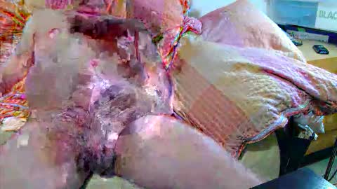 Andi online show from 20, 11, 2025