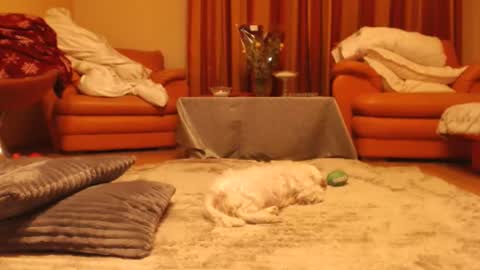 Andra online show from 18, 11, 2025