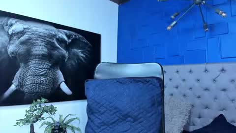 Snapshot of andres_clark chatting on 17, 12, 2025 insta andres clark online show from 17, 12, 2025