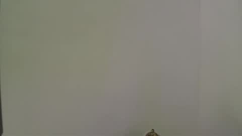 Snapshot of andres_stud chatting on 13, 10, 2025 andres_stud online show from 13, 10, 2025