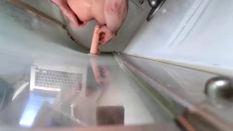 andybadass online show from 10, 3, 2025