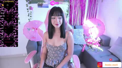          online show from 12, 12, 2024