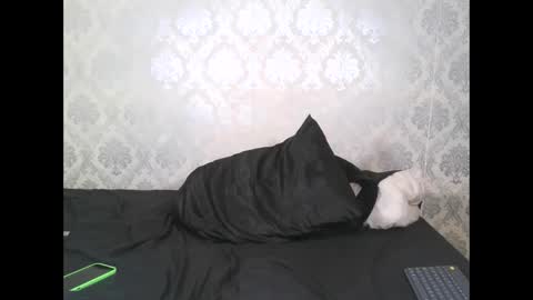 Snapshot of angel_lein chatting on 11, 2, 2025 Angel Lein online show from 11, 2, 2025