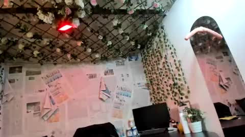 angel_stid online show from 11, 7, 2026