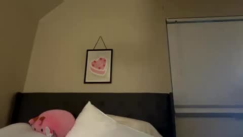 Snapshot of angelgrl444 chatting on 23, 2, 2025 Princess Peach online show from 23, 2, 2025