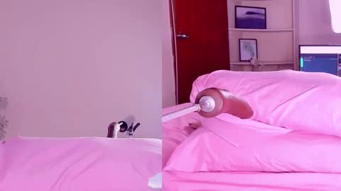 Angeli  online show from 18, 2, 2025