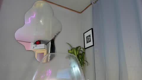 Carolina online show from 2, 10, 2025