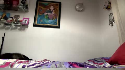 Snapshot of angelicfxxt chatting on 23, 1, 2025 angelicfxxt online show from 23, 1, 2025