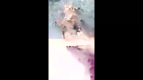 angels_0001 online show from 12, 1, 2026