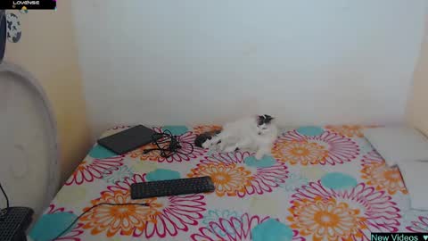 Angie y Andres online show from 20, 1, 2025